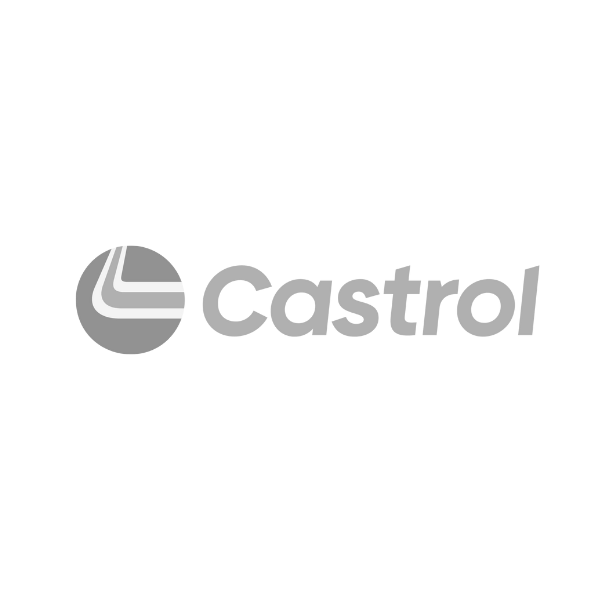 Castrol-Promove360
